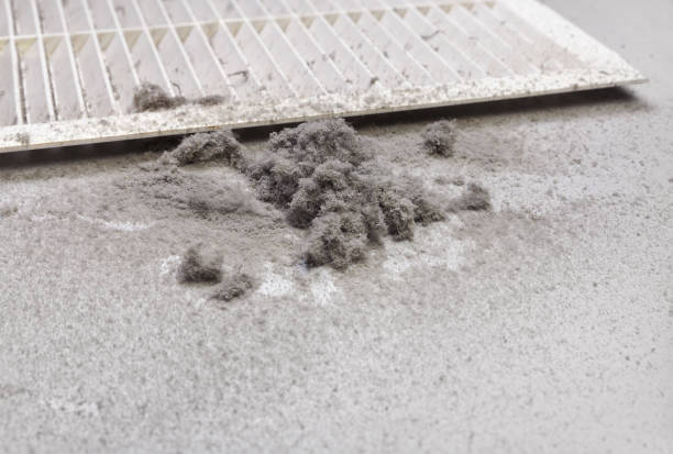 Best Emergency Air Duct Cleaning  in , MT