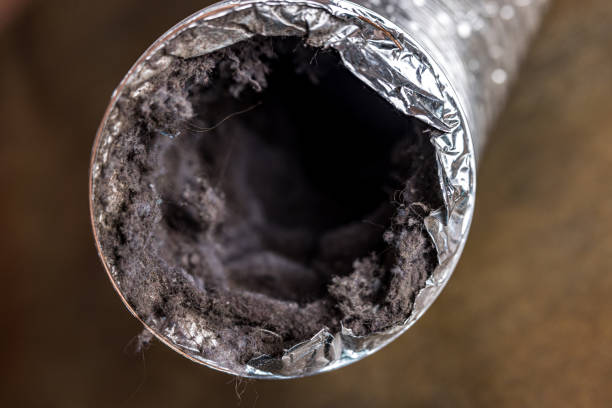 Best HVAC System Cleaning  in , MT